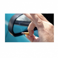 WTF? Non dago irudia?