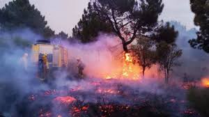 WTF? Non dago irudia?